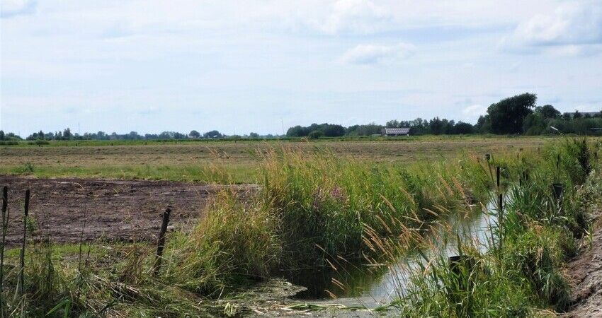 Foto van een sloot in een weidelandschap in polder de Hegewarren